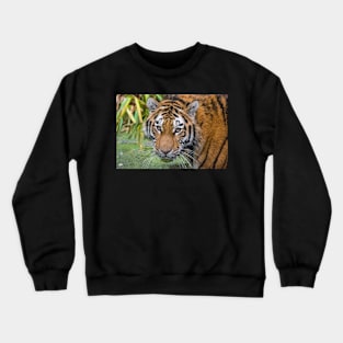 Tiger Crewneck Sweatshirt